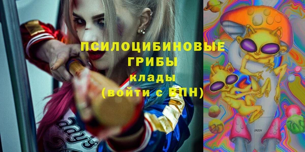 стаф Армянск