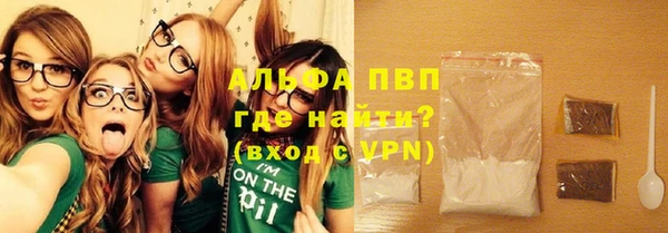 шишки Инсар