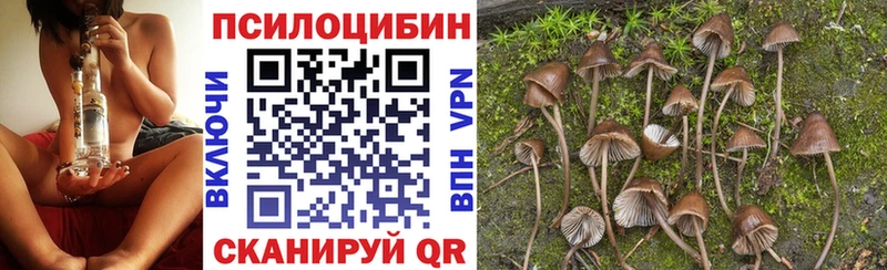 Галлюциногенные грибы прущие грибы дарнет шоп Могоча